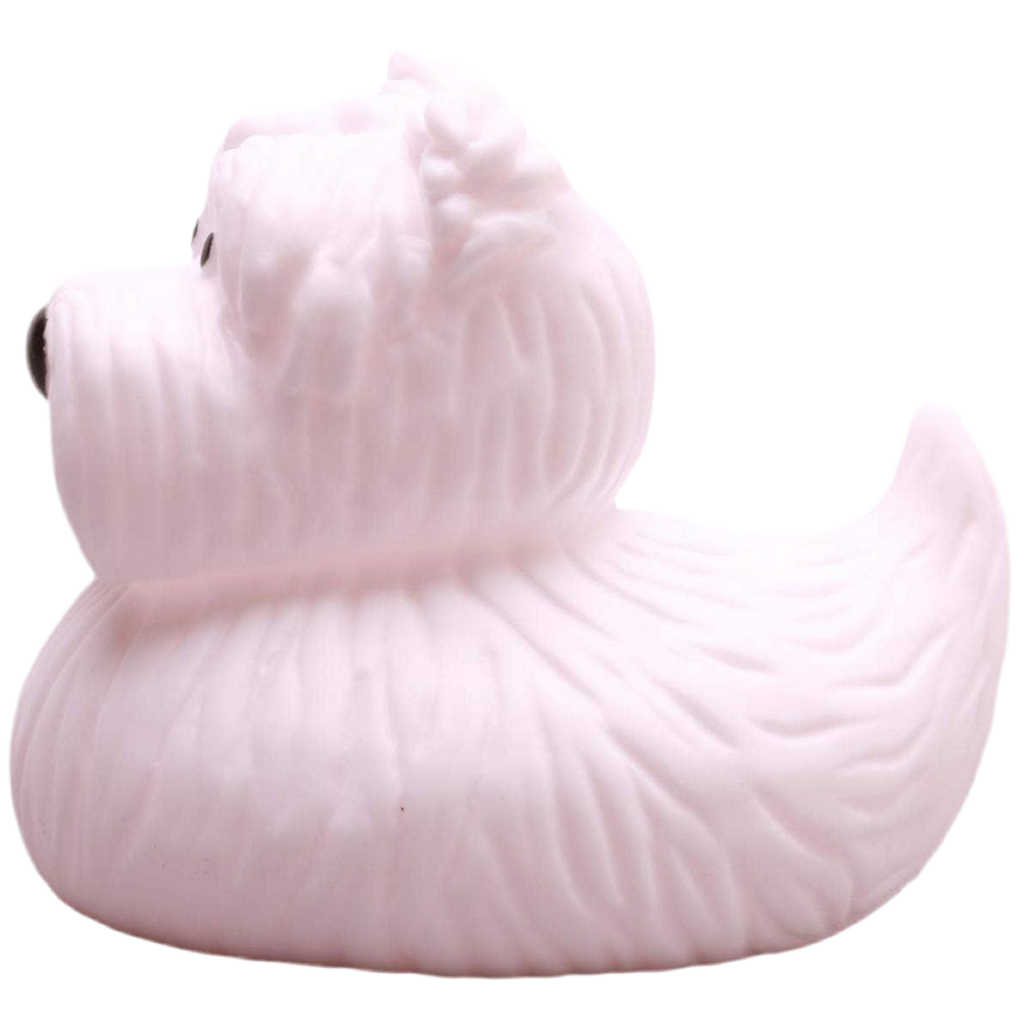 canard terrier ecossais elgate products