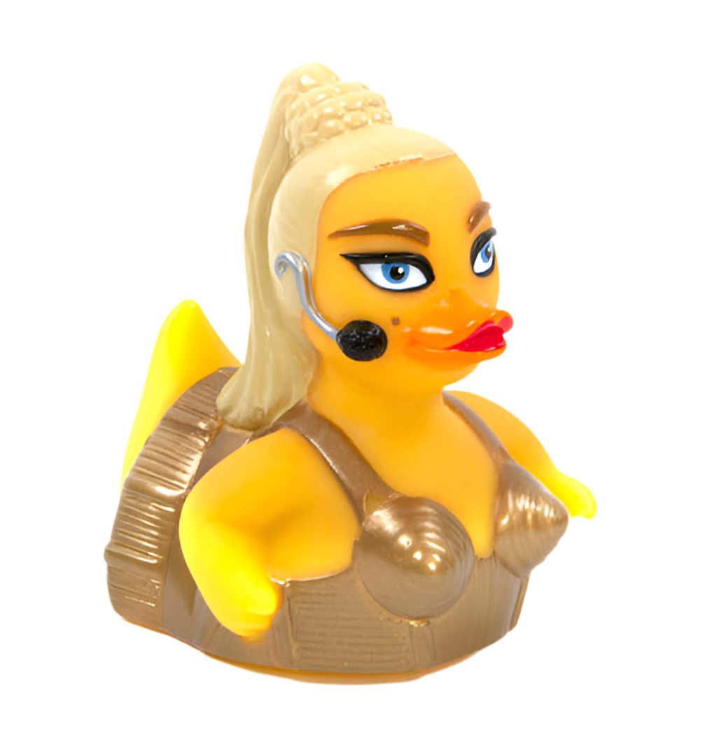 canard-the-material-bird-celebriducks