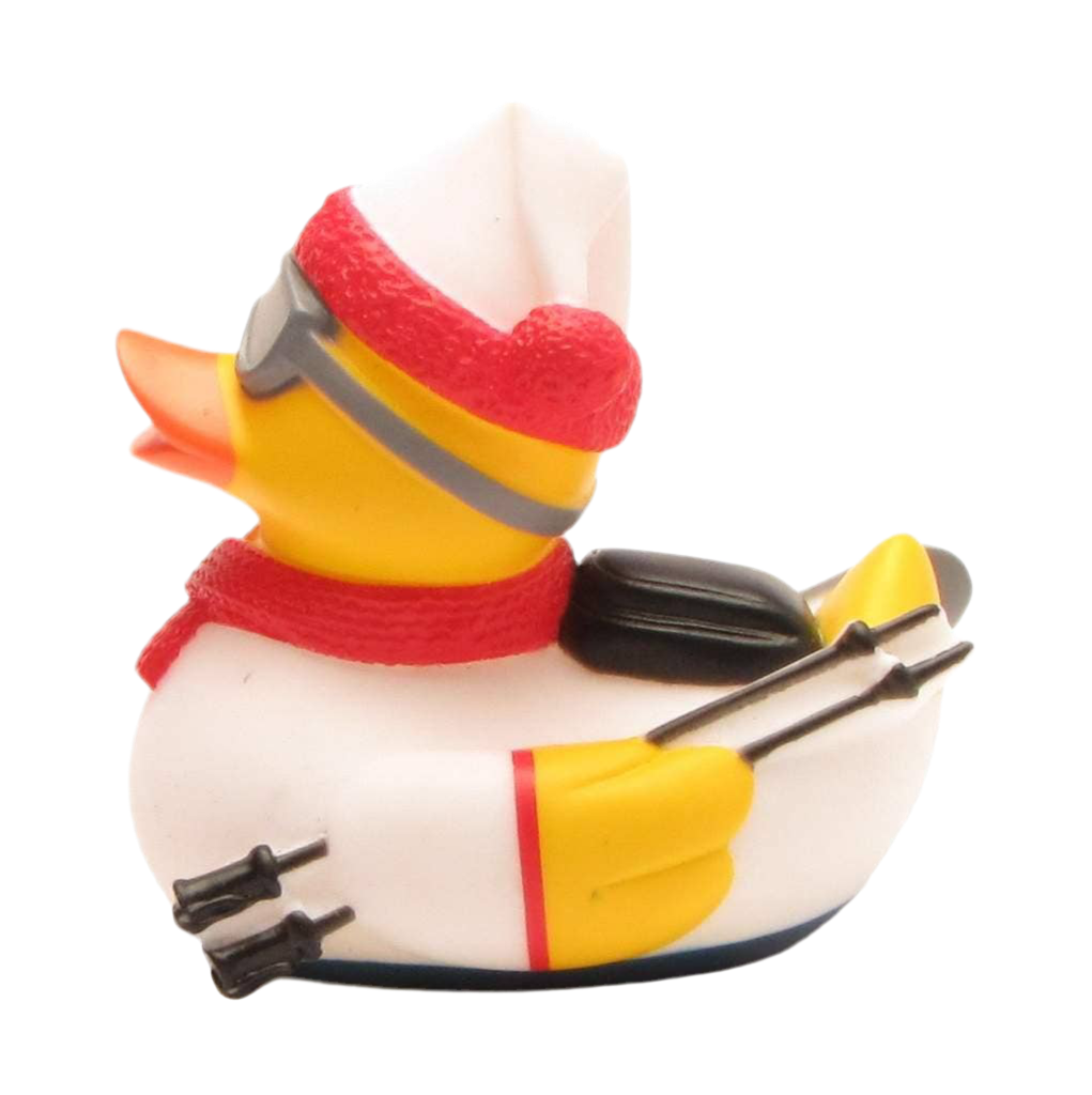 Skiing Duck