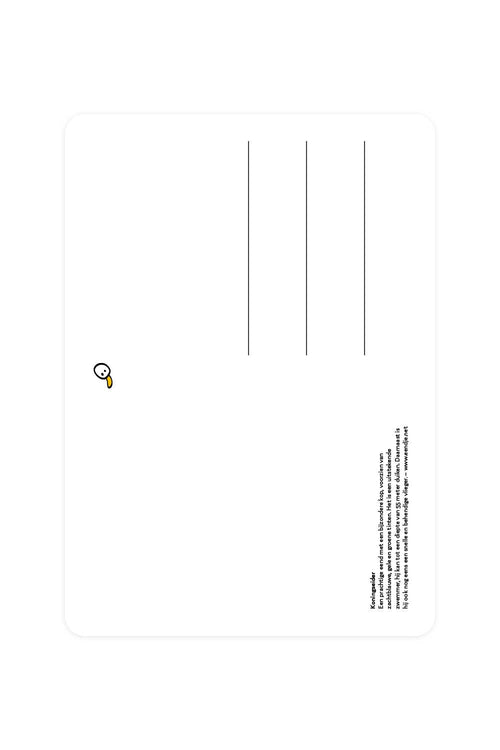 Postkarte mit Prachteiderente