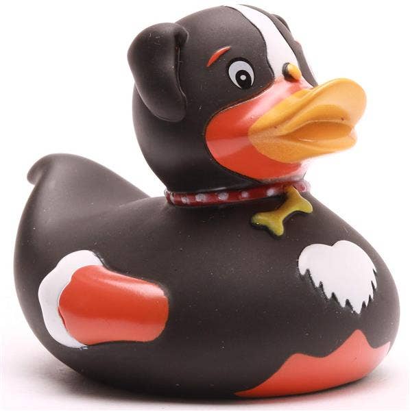 Canard Chien