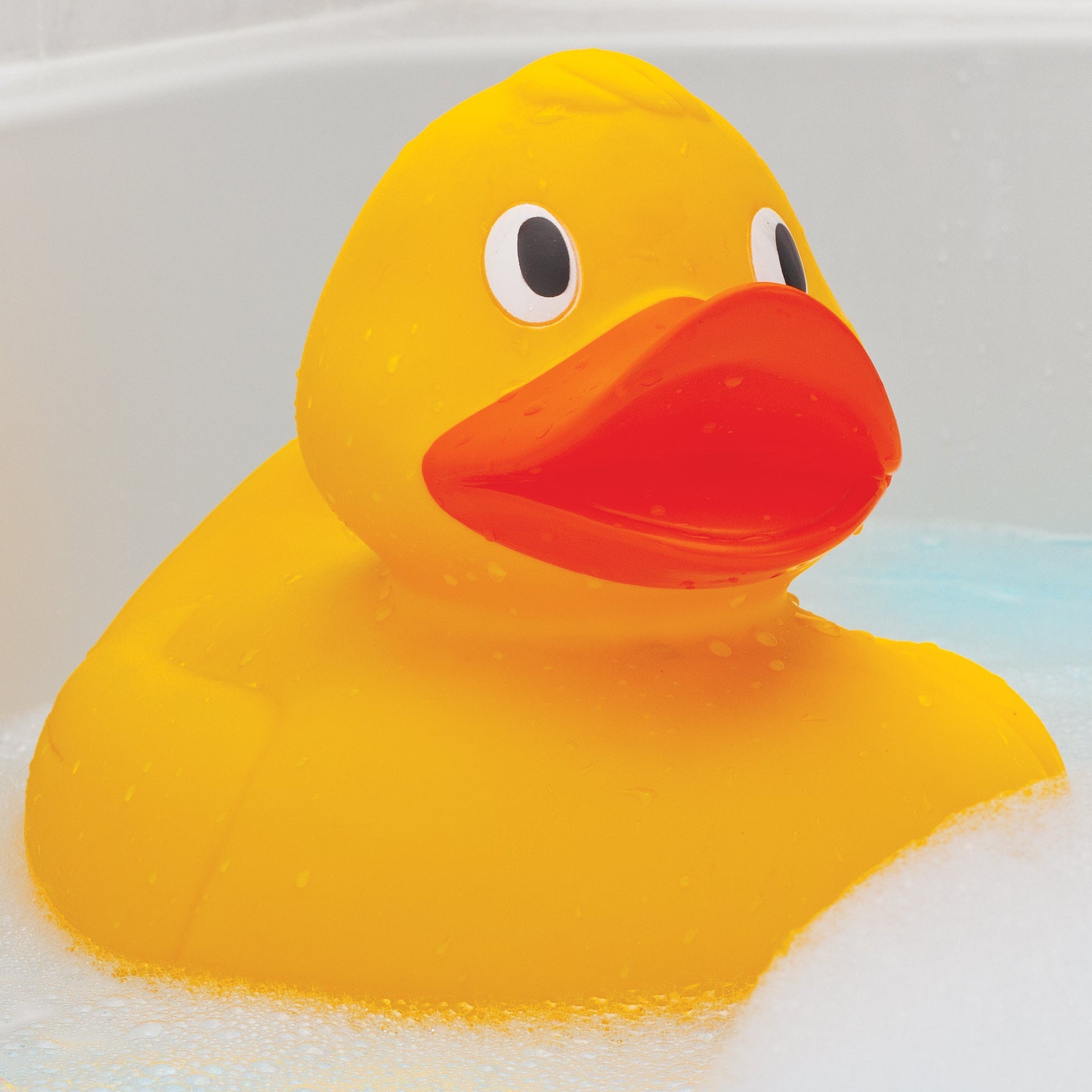 CANARD GÉANT