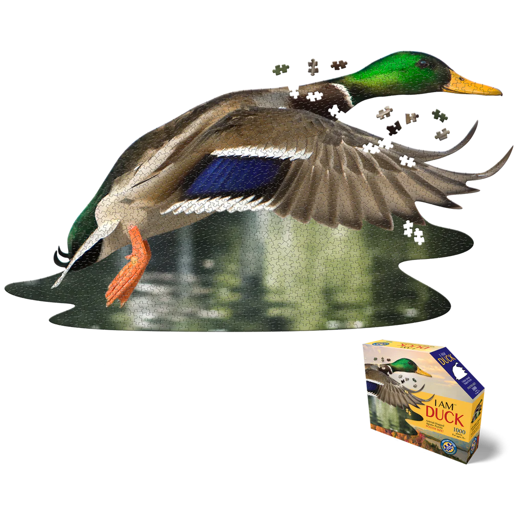 Colvert Duck Puzzle