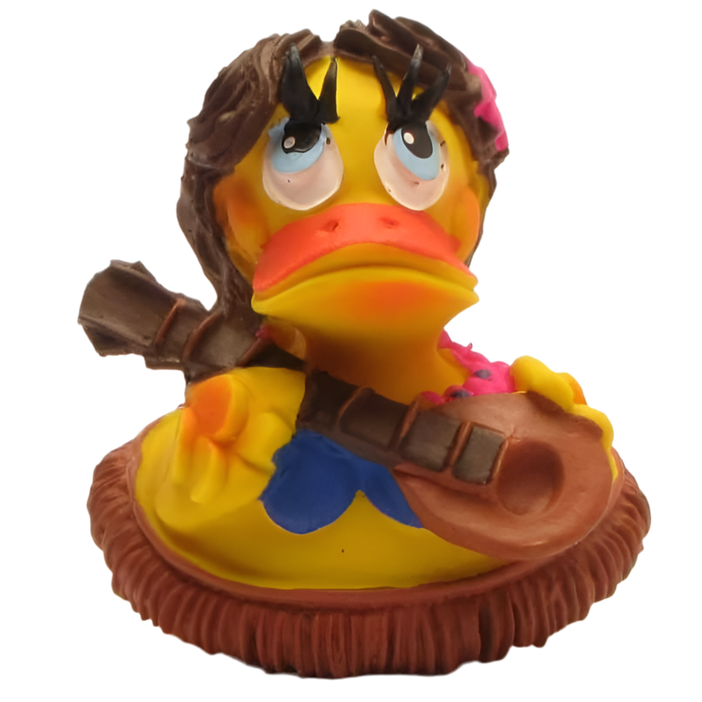 Hawaii-Ente