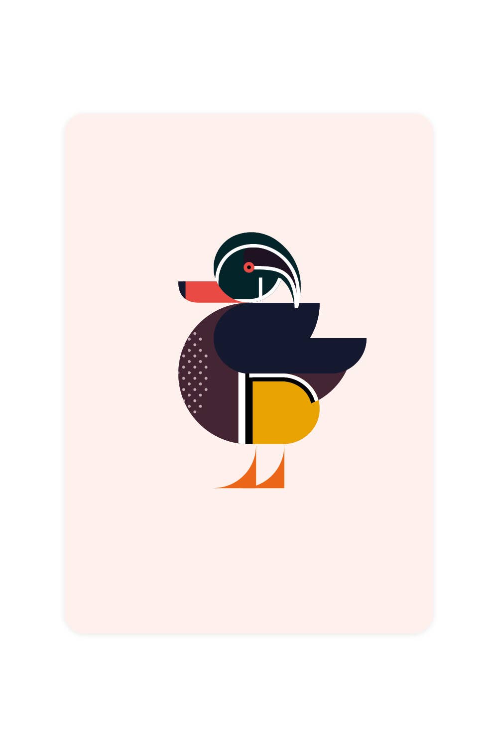 Carte postale Carolina Duck