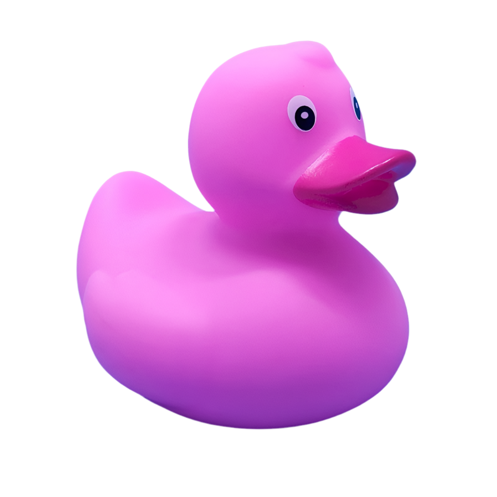 canard-classique-dutch-ducky