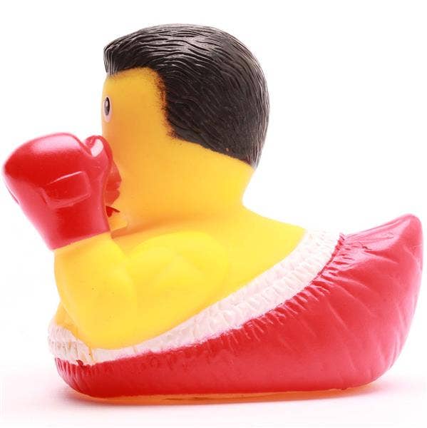 Canard Boxeur