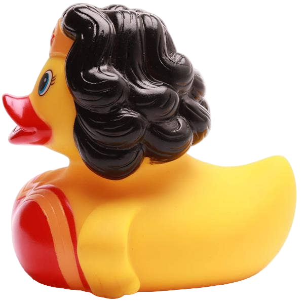 WonderCanard Duck