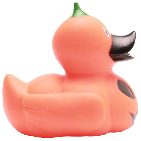 Canard Citrouille d'Halloween