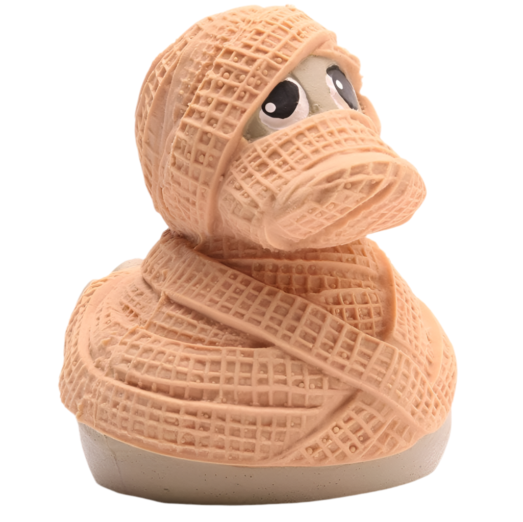 Mummy Duck