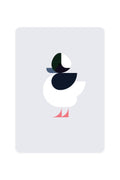 Carte postale avec Bufflehead
