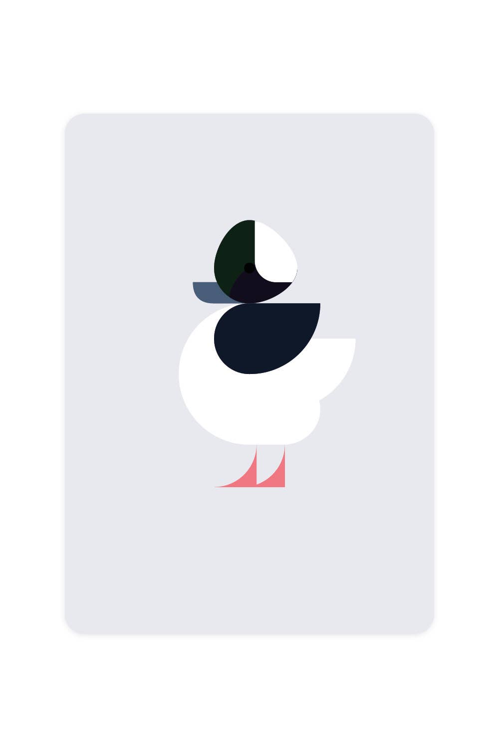 Carte postale avec Bufflehead