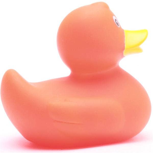 canard classique orange