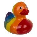 Canard arc-en-ciel – vue 4