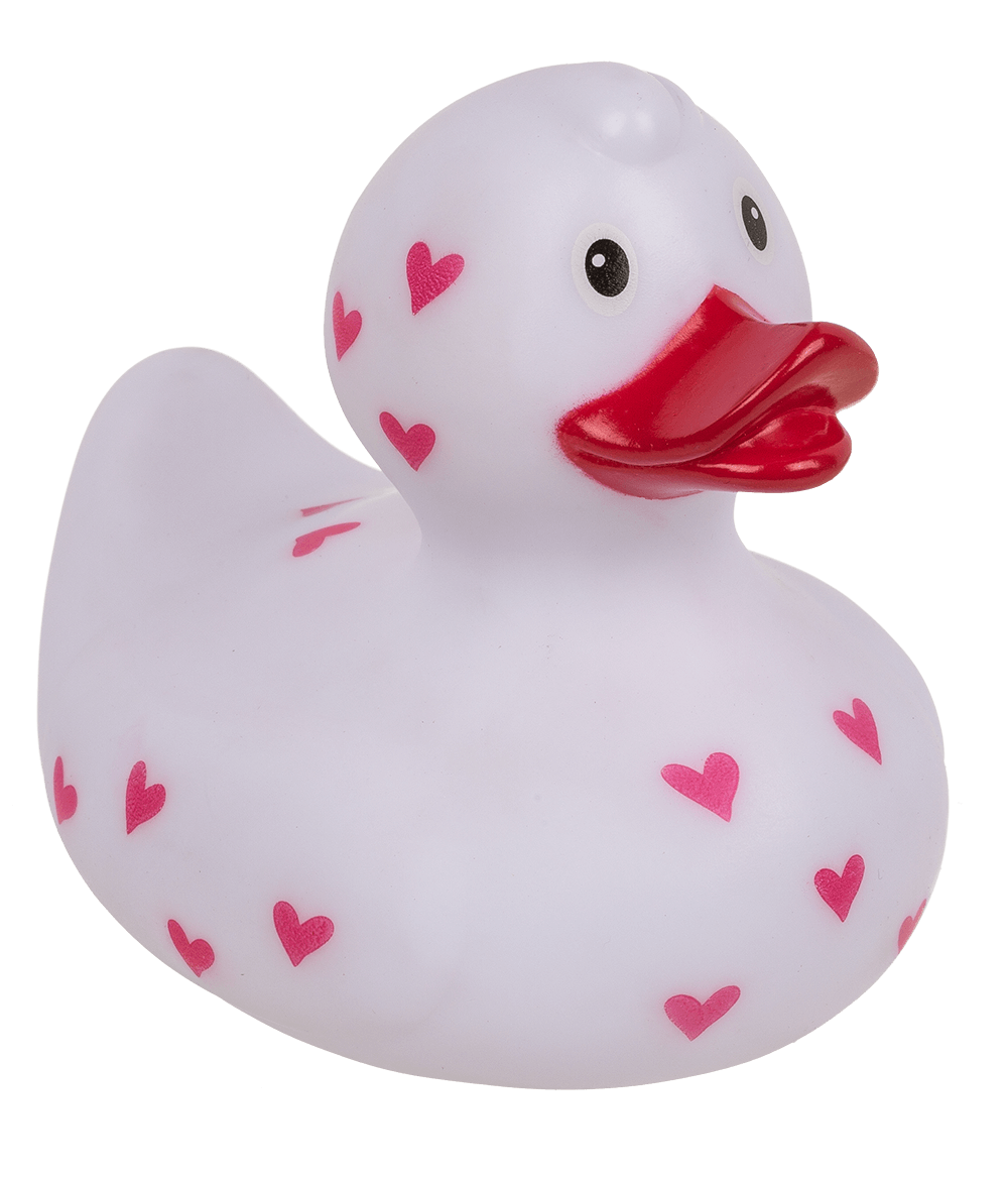 Canard Amoureux – vue 5