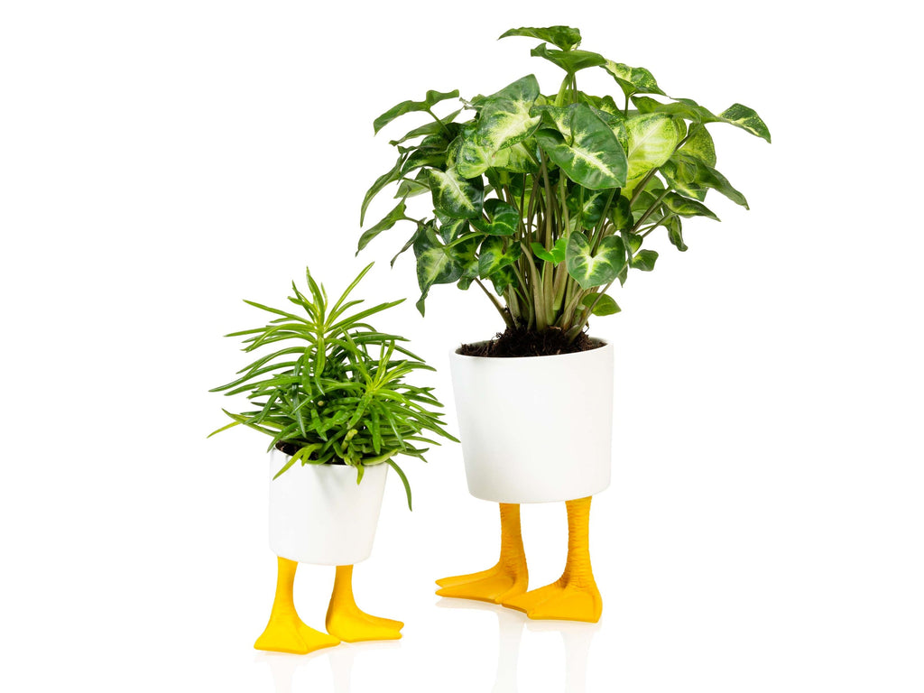 Pot de Fleur Pattes de Canard – Petit