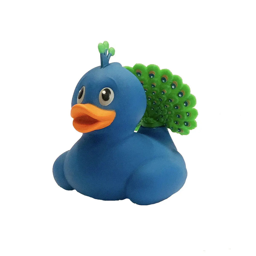 Canard Paon - Wild Republic