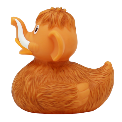 Canard Mammouth