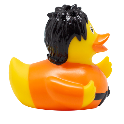 Canard Kung Fu