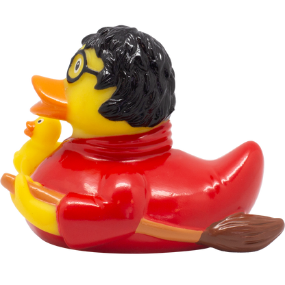 Canard Sorcier