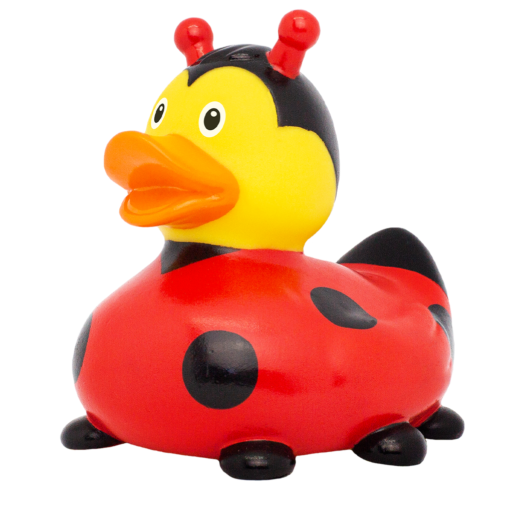 Canard Coccinelle Nouvelle Version Lilalu - vue 2
