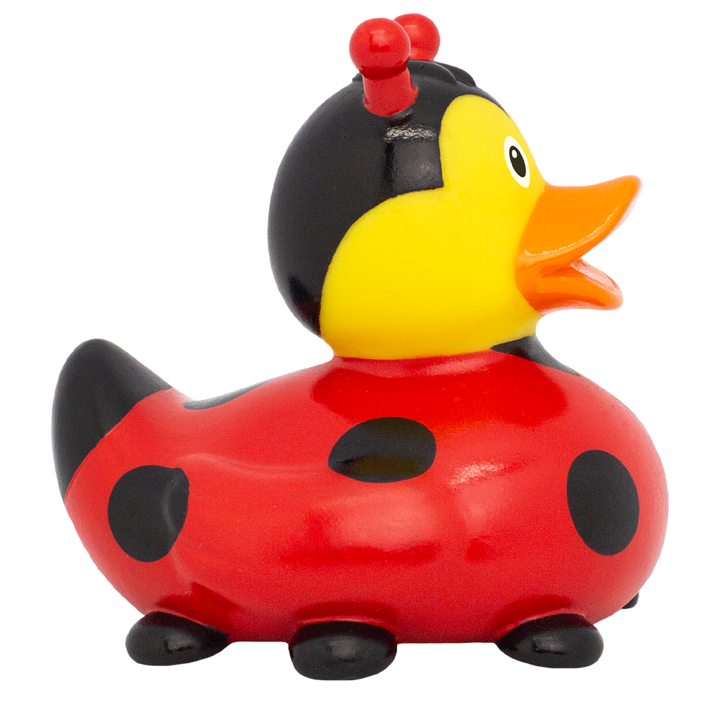 Canard Coccinelle Nouvelle Version Lilalu - vue 5