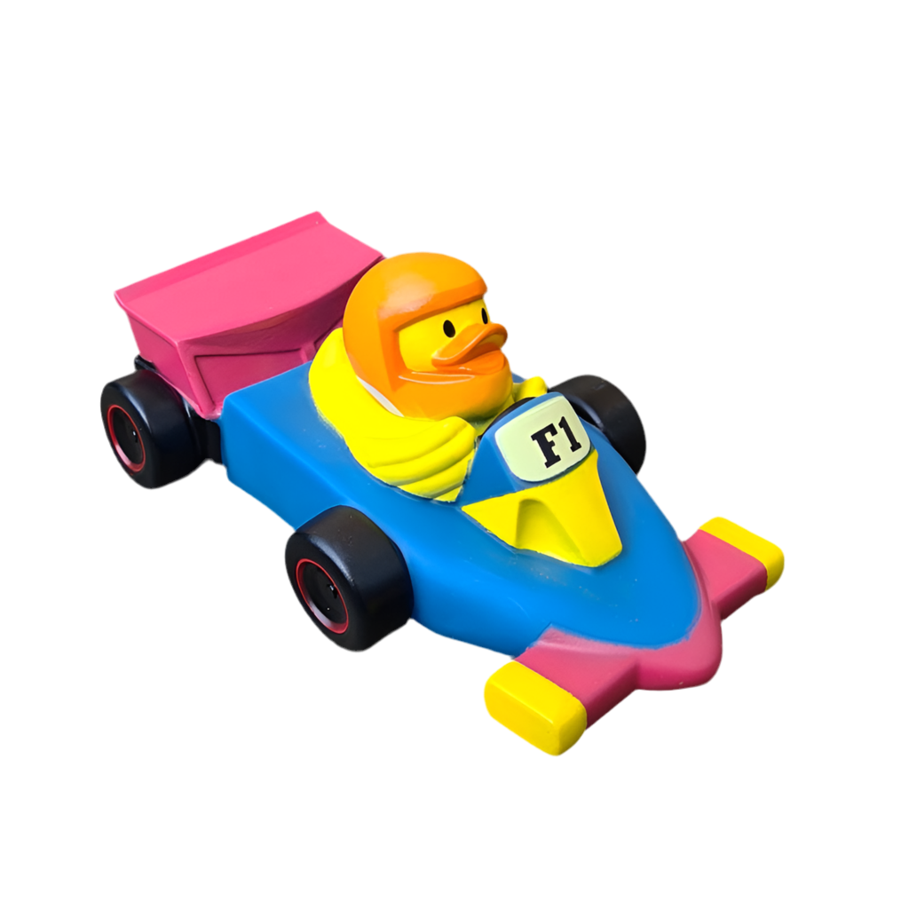 Canard Voiture de course F1