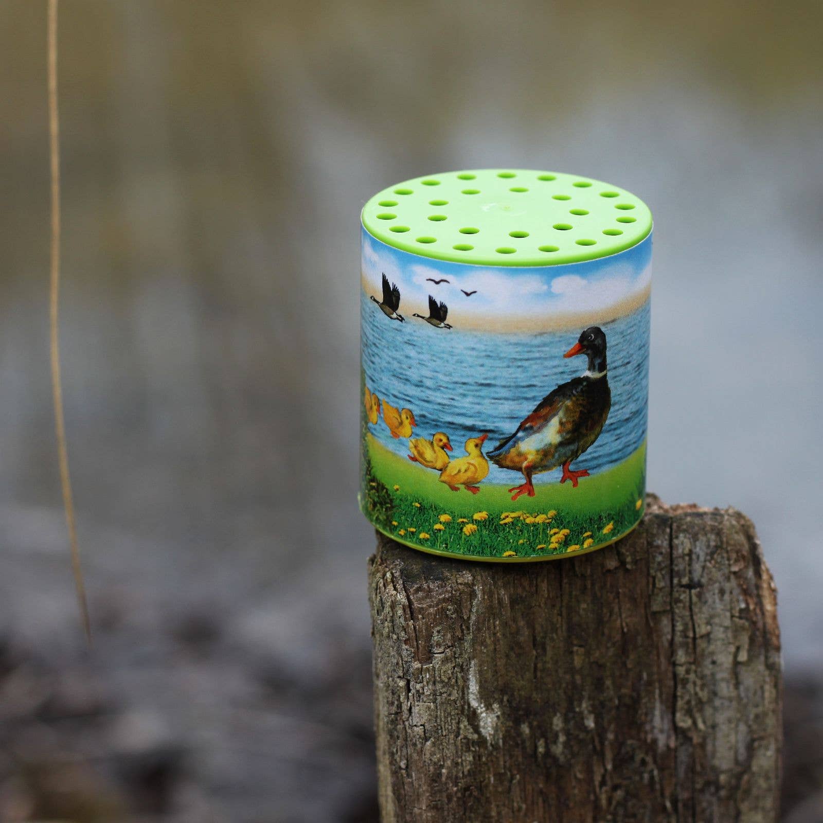 Tierstimmenkasten - Ente