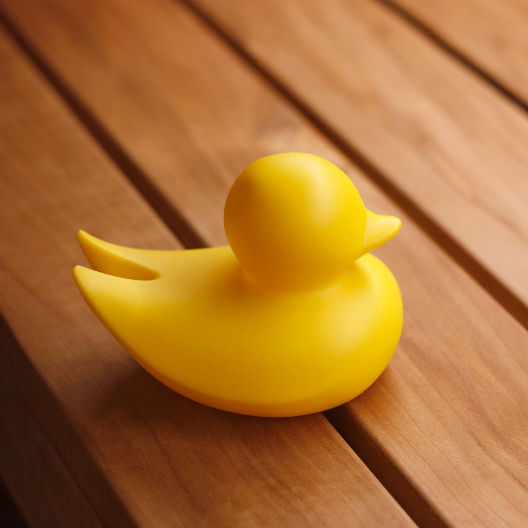 Canard Minimaliste