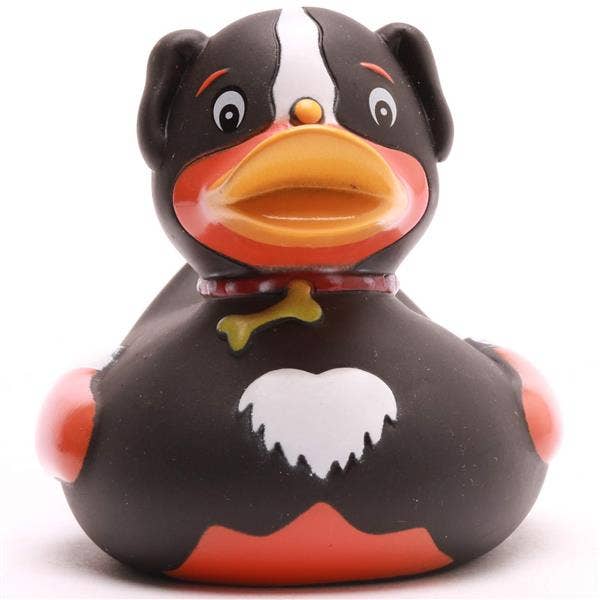 Canard Chien
