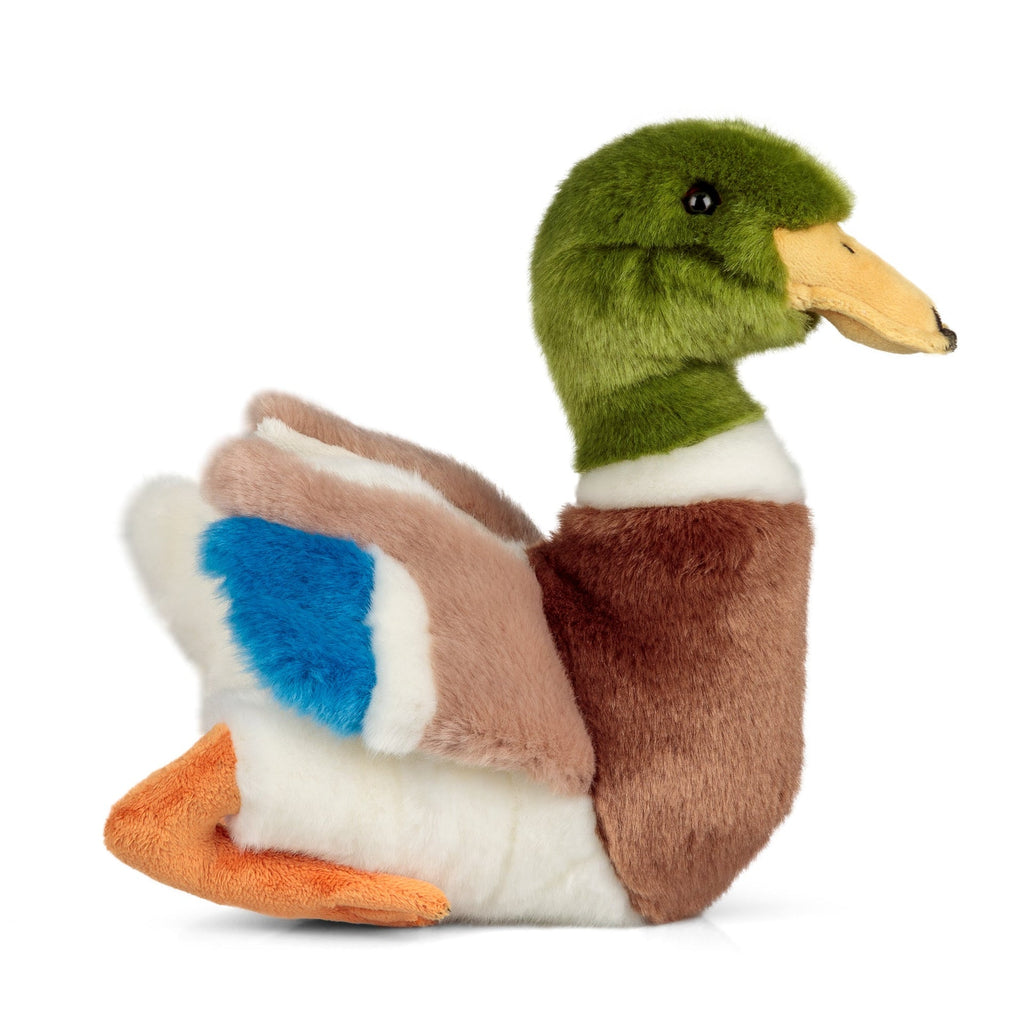 Peluche Animigos Canard Colvert