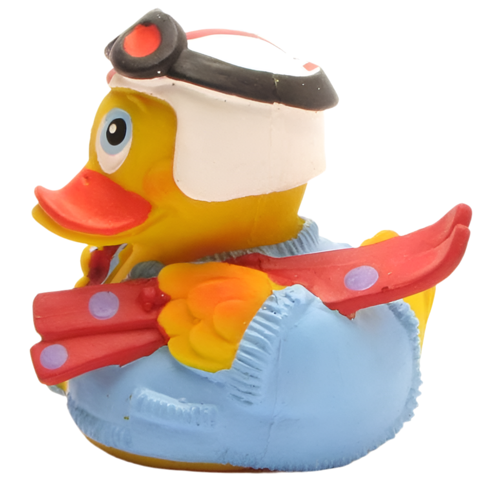 Skiing Duck