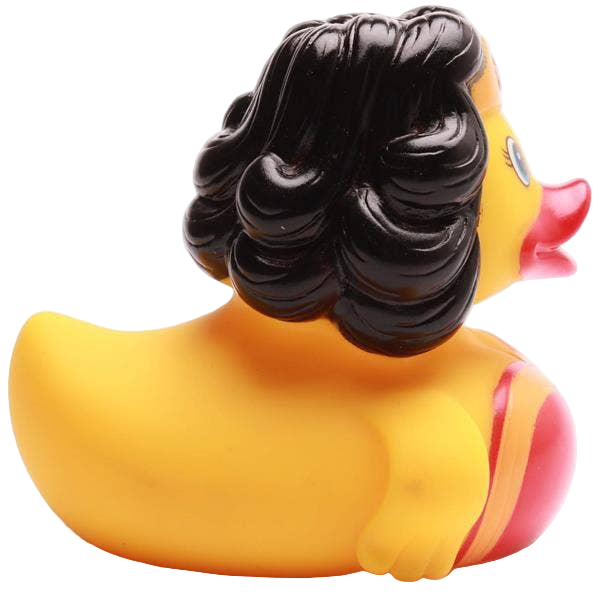 WonderCanard Duck