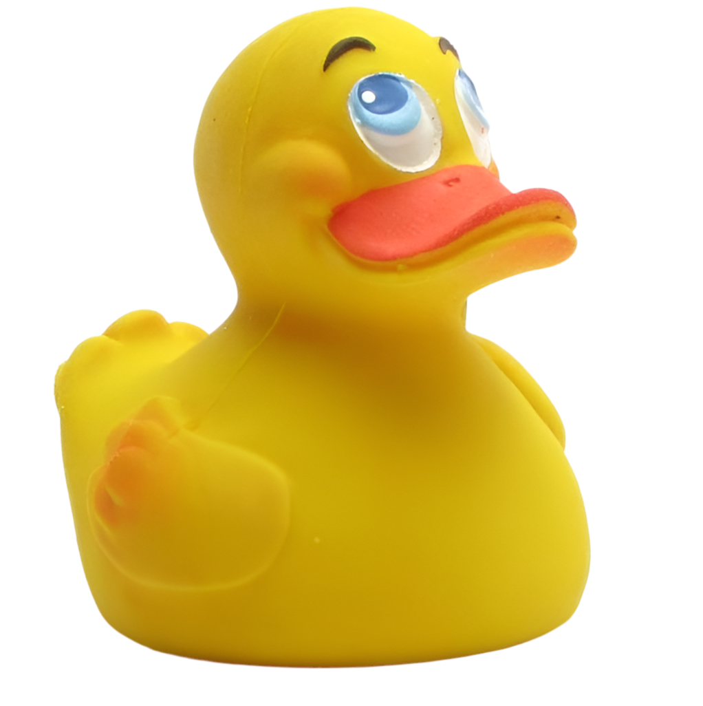 Austrian Duck
