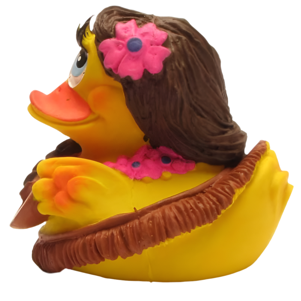 Hawaii-Ente