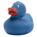 Classic Blue Duck