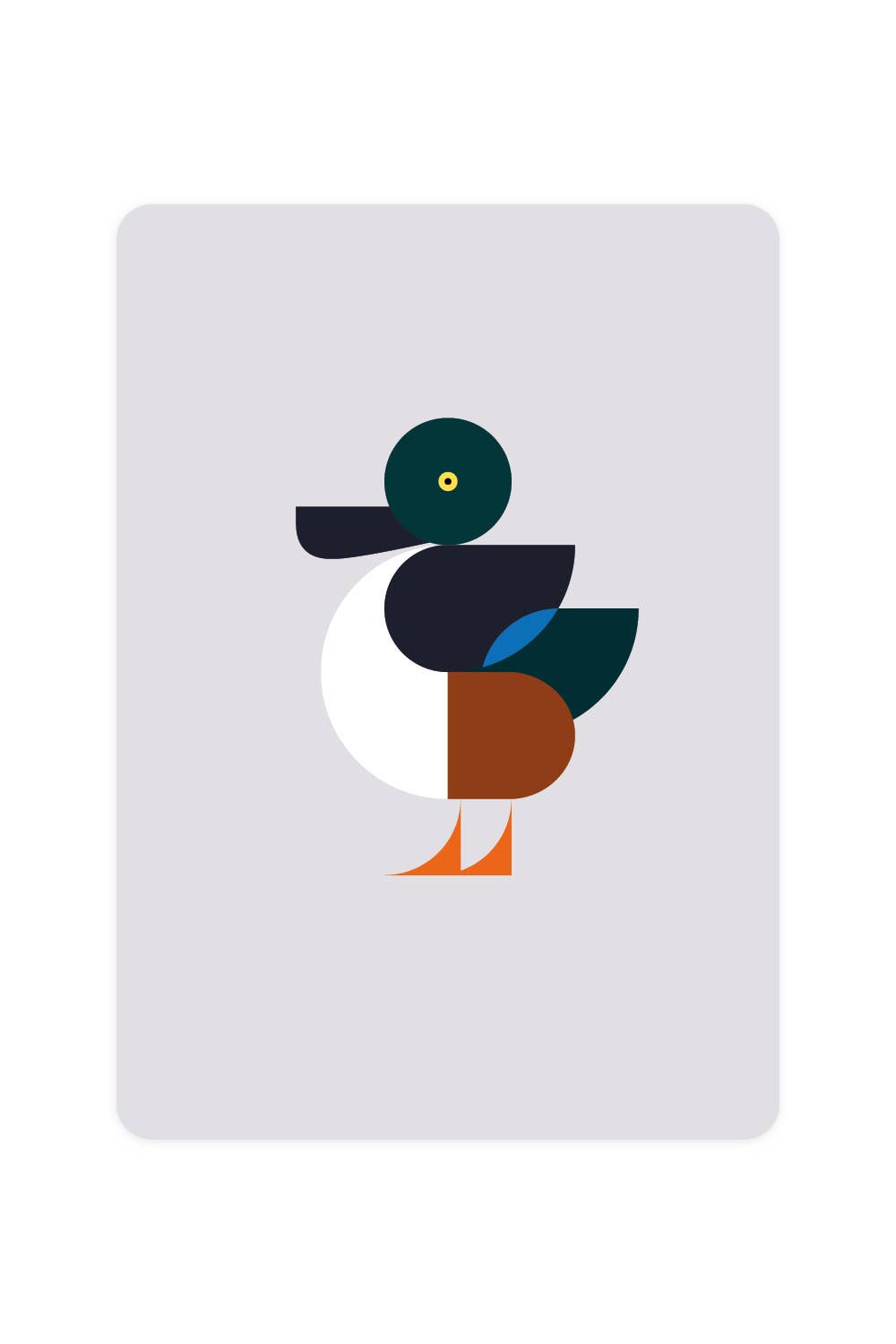 Carte postale avec Shoveler