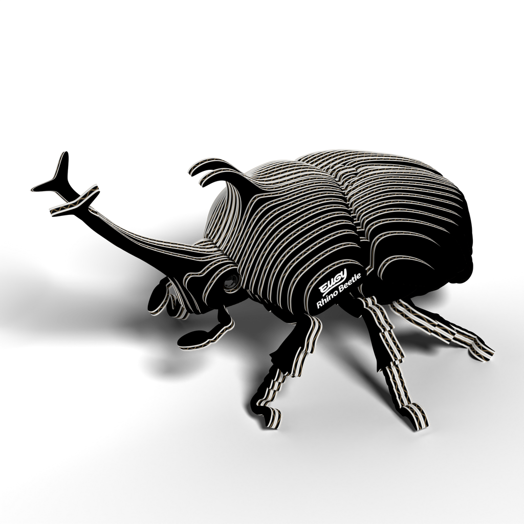 EUGY 3D - Scarabée Rhinocéros