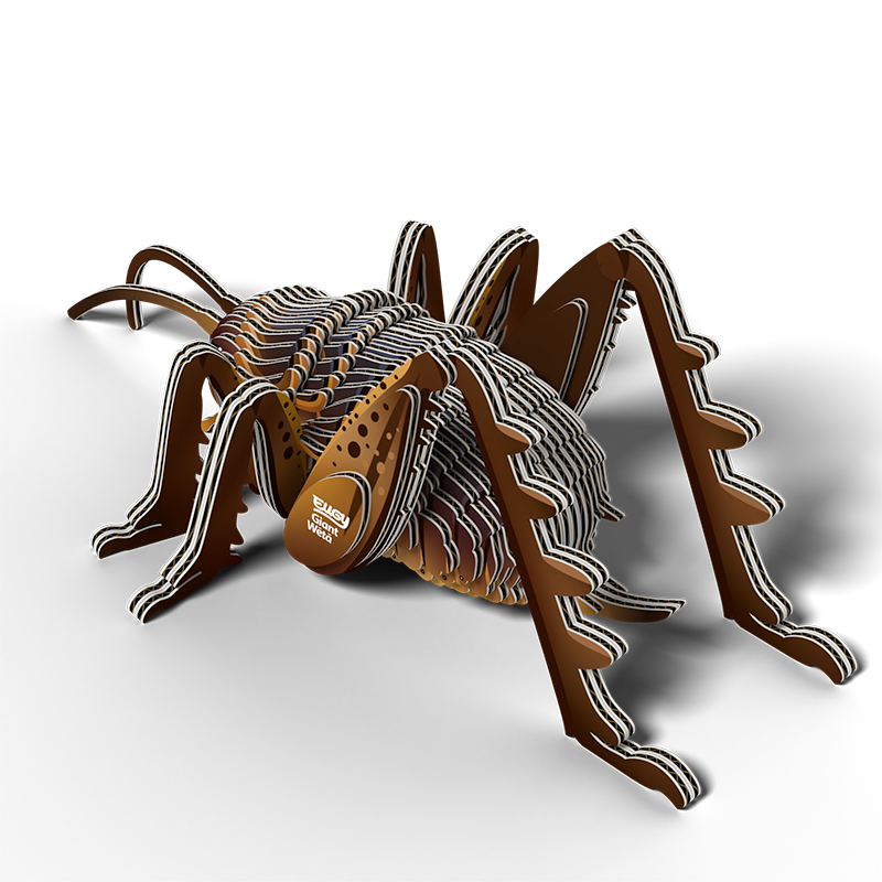 EUGY 3D - Sauterelle