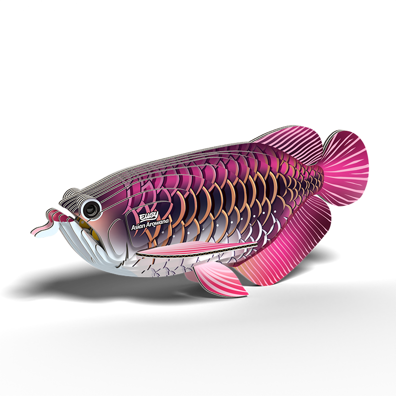 EUGY 3D - Poisson Dragon
