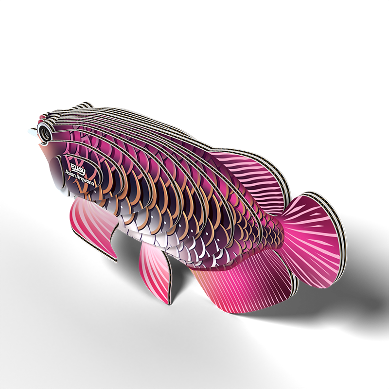 EUGY 3D - Poisson Dragon