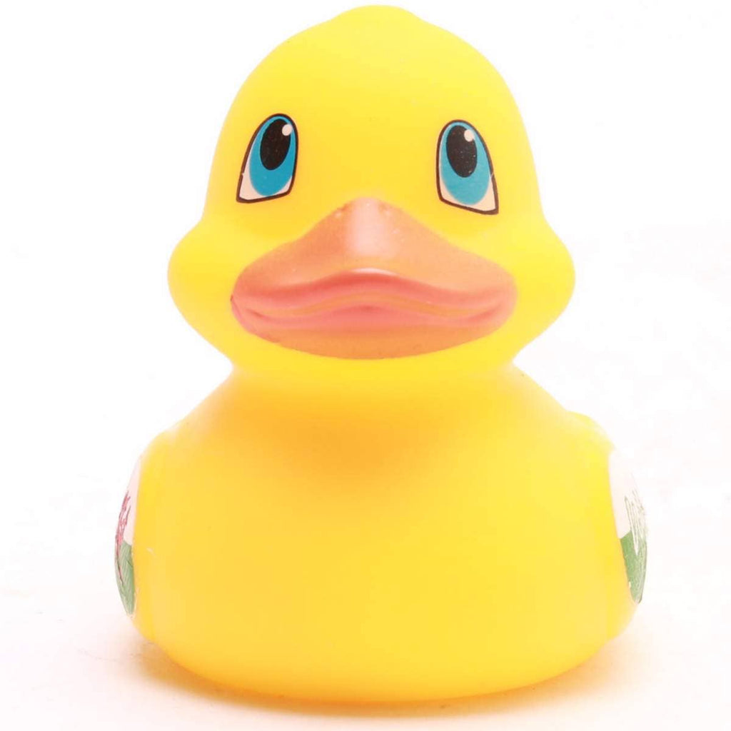 Mini Canard Pays de Galles