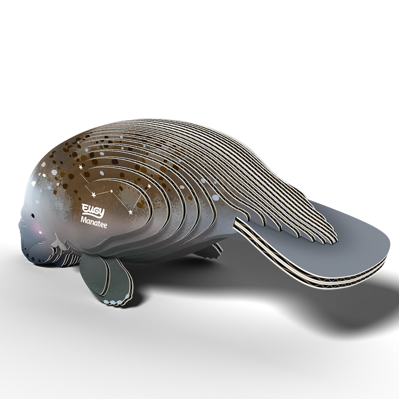 EUGY 3D - Lamantin