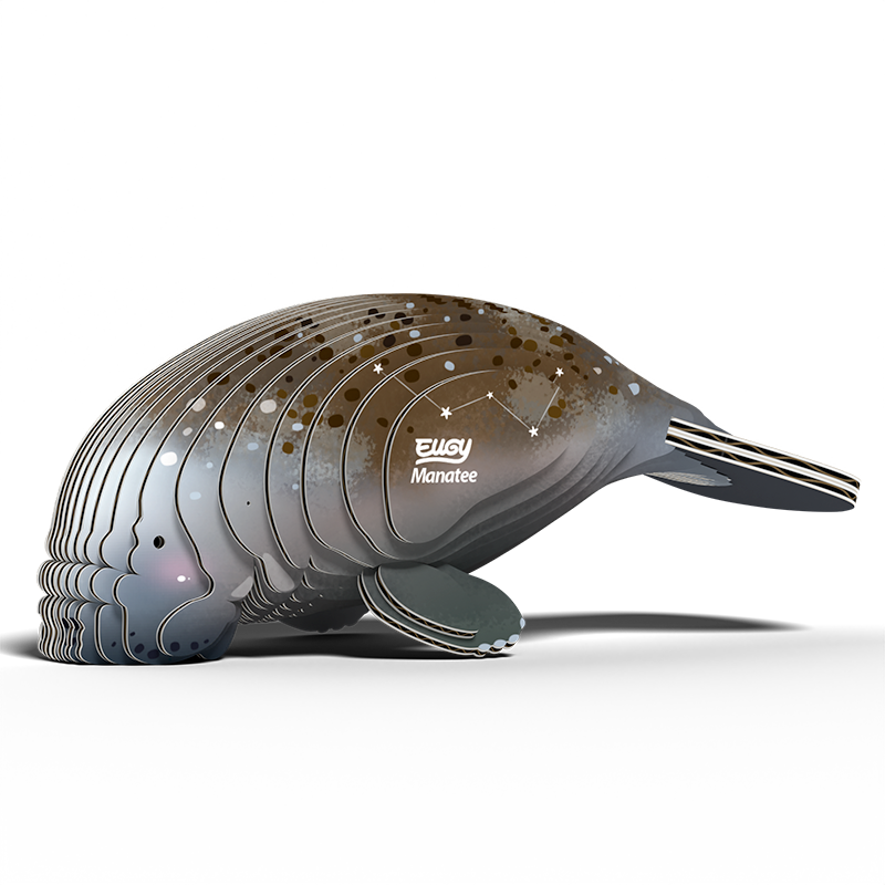 EUGY 3D - Lamantin