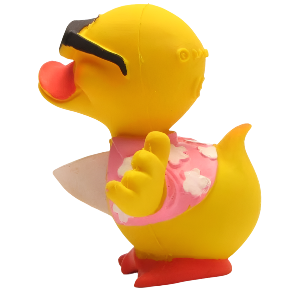 Surfer-Ente