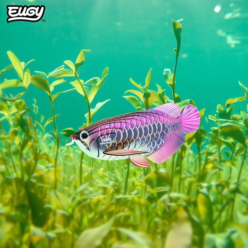 EUGY 3D - Poisson Dragon