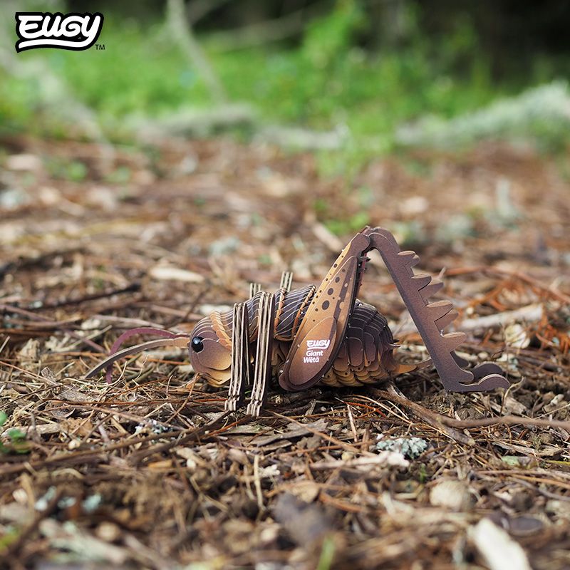 EUGY 3D - Sauterelle