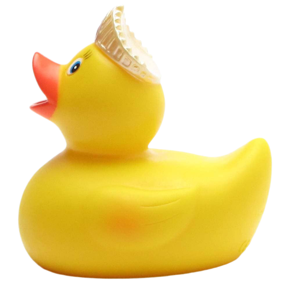 Princess Duck