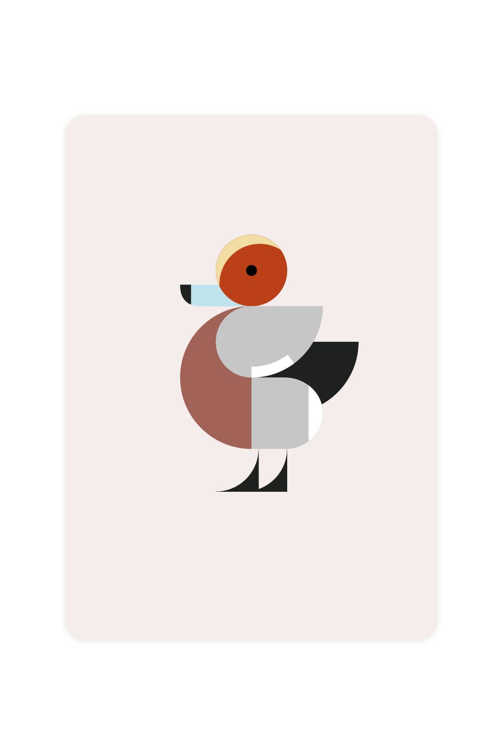 Carte postale avec Wigeon