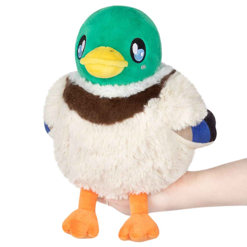 Mini Peluche Squishable Canard Colvert